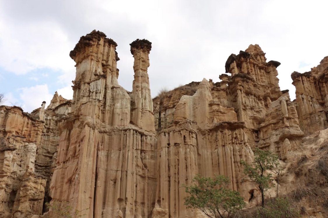 Yuanmou Stone Forest Scenic Area